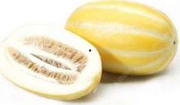 长麻吃瓜,揭秘娱乐圈的甜蜜与苦涩