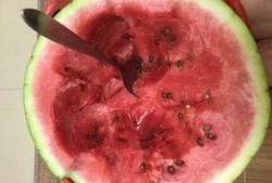 早孕可以吃瓜吗,吃瓜真的没问题吗？