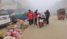 镇平疫情吃瓜,吃瓜群众视角下的防疫风云