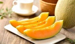 我家狐狸吃蜜瓜,甜蜜邂逅与欢乐时光