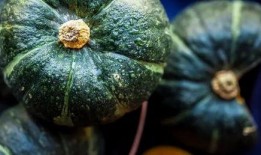 真实惊悚吃瓜,揭秘真实惊悚吃瓜事件背后的真相