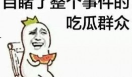 带你吃瓜旺仔