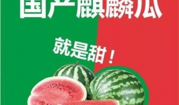 上海吃瓜群头像,揭秘都市生活里的欢乐与八卦