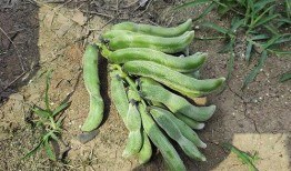 南陌吃瓜,揭秘娱乐圈背后的那些事儿