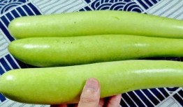 the 9爆料吃瓜,the 9爆料事件，吃瓜群众围观真相