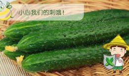豆瓣六组吃瓜,揭秘娱乐圈吃瓜群众的狂欢盛宴