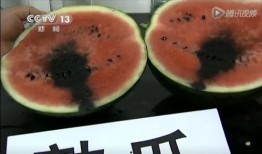 傻瓜瓜吃瓜视频,揭秘娱乐圈幕后故事