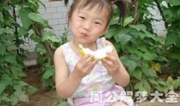 做梦梦到瓜地吃瓜,一场奇幻的瓜果盛宴