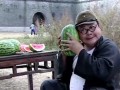 搞笑吃瓜剪辑,带你领略欢乐瞬间