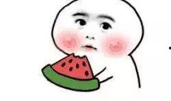 小瓜吃空调作者,夏日里的清凉奇遇记