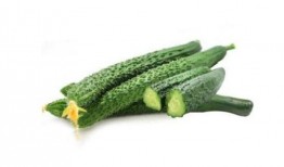 齐鲁医药吃瓜,揭秘行业“吃瓜”背后的真相与启示