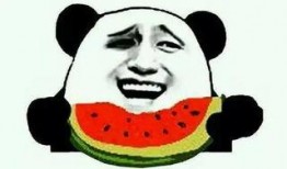 车友吃瓜,揭秘汽车圈那些不为人知的幕后故事