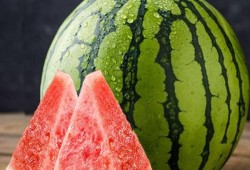 凌霄吃瓜完整视频,全程精彩瞬间回顾