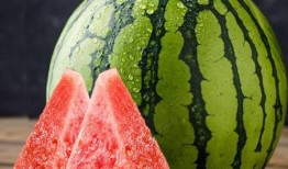 凌霄吃瓜完整视频,全程精彩瞬间回顾