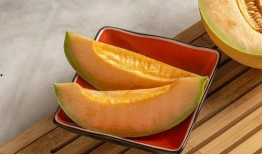 吃蜜瓜,探寻蜜瓜的独特魅力