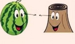 图片有人吃瓜成语,品味成语中的智慧人生