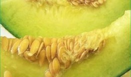 怀孕吃牛肉在吃哈密瓜,营养互补的孕期美食探索