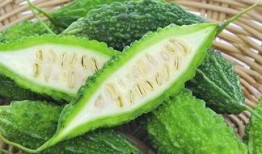 吃瓜音乐推荐,吃瓜音乐推荐带你领略多元音乐风格