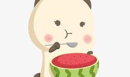 吃瓜小熊的评价,品鉴与评价