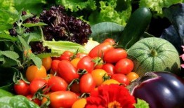 凌霄吃瓜完整视频,全程精彩瞬间回顾