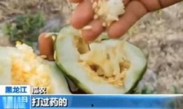 平邑吃瓜大队,揭秘乡村里的欢乐生活圈