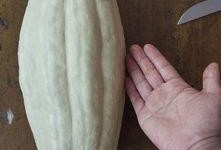 叶吃瓜事件,揭秘网络舆论的狂欢与反思