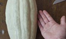 叶吃瓜事件,揭秘网络舆论的狂欢与反思