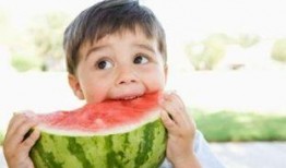 小瓜吃空调作者,夏日里的清凉奇遇记