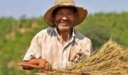 穷苦落魄吃瓜落