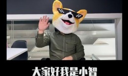 吃瓜小智,揭秘娱乐圈那些不为人知的幕后故事