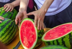 广州高校吃瓜视频