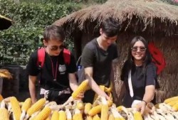 沂源最新吃瓜新闻视频,揭秘神秘事件背后的真相