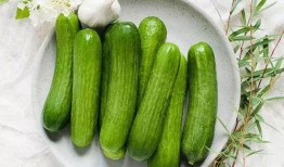 热植界吃瓜,揭秘植物界的热门话题与趣味事件