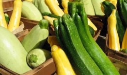 吃瓜拍照神器推荐,轻松拍出时尚大片！