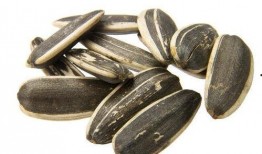 吃瓜和瓜子视频,瓜子视频带你领略娱乐盛宴