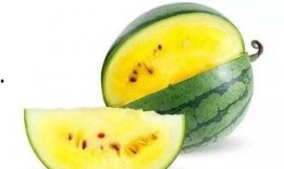 西林的瓜在哪吃,探寻最佳品尝地