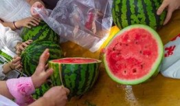 吃瓜的东西视频,短视频中的热点追踪