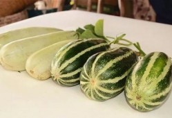 网红免费吃瓜群