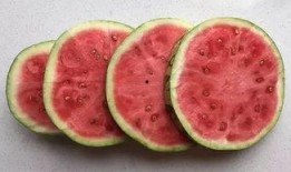 玄学科学吃瓜,科学视角下的吃瓜智慧