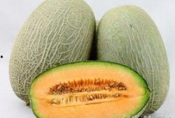 鲤鱼吃哈密瓜,鲤鱼与哈密瓜的奇妙邂逅