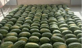 学校座椅吃瓜新闻,揭秘校园生活新现象