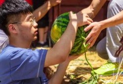 花臂老师 吃瓜,揭秘娱乐圈幕后故事