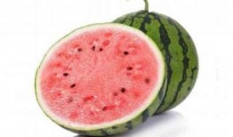 瓜真甜怎么吃,解锁夏日美味新吃法