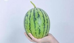 时宜吃瓜宝典,揭秘娱乐圈的甜蜜与苦涩