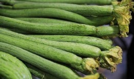 秋吃瓜怎么吃最好,秋季吃瓜的最佳方式揭秘