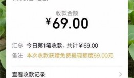 吃瓜取件码,网络热词背后的趣味与思考