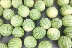 不想再吃瓜了,拒绝八卦，拥抱宁静生活