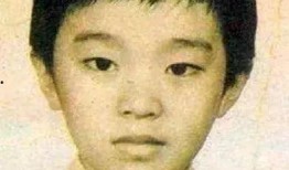 9527吃瓜,揭秘娱乐圈幕后真相