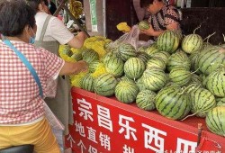 dj越小越吃瓜,揭秘娱乐圈的“小透明”现象