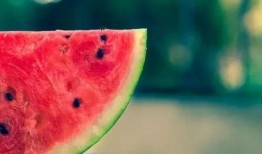 佛子瓜怎么吃,探索美味与健康的完美结合